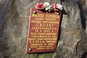 Zdjęcie główne dla wydarzenia: Powiat Turecki w hołdzie Niezłomnym